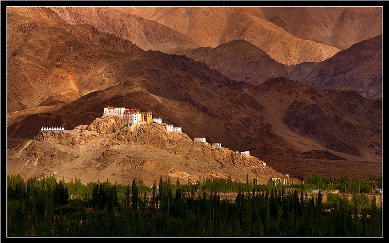 Monastery in Leh, winner Best Landscape
